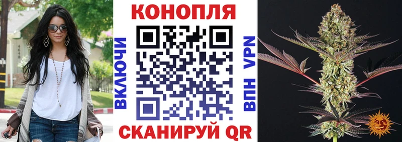 Марихуана конопля Алексеевка